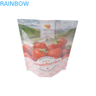 Snack Ziplock đứng lên Túi nhựa Bao bì cho bao bì trái cây khô