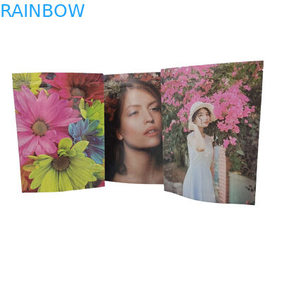 Bao bì thực phẩm tùy chỉnh Pla túi nhựa khóa niêm phong túi nhôm